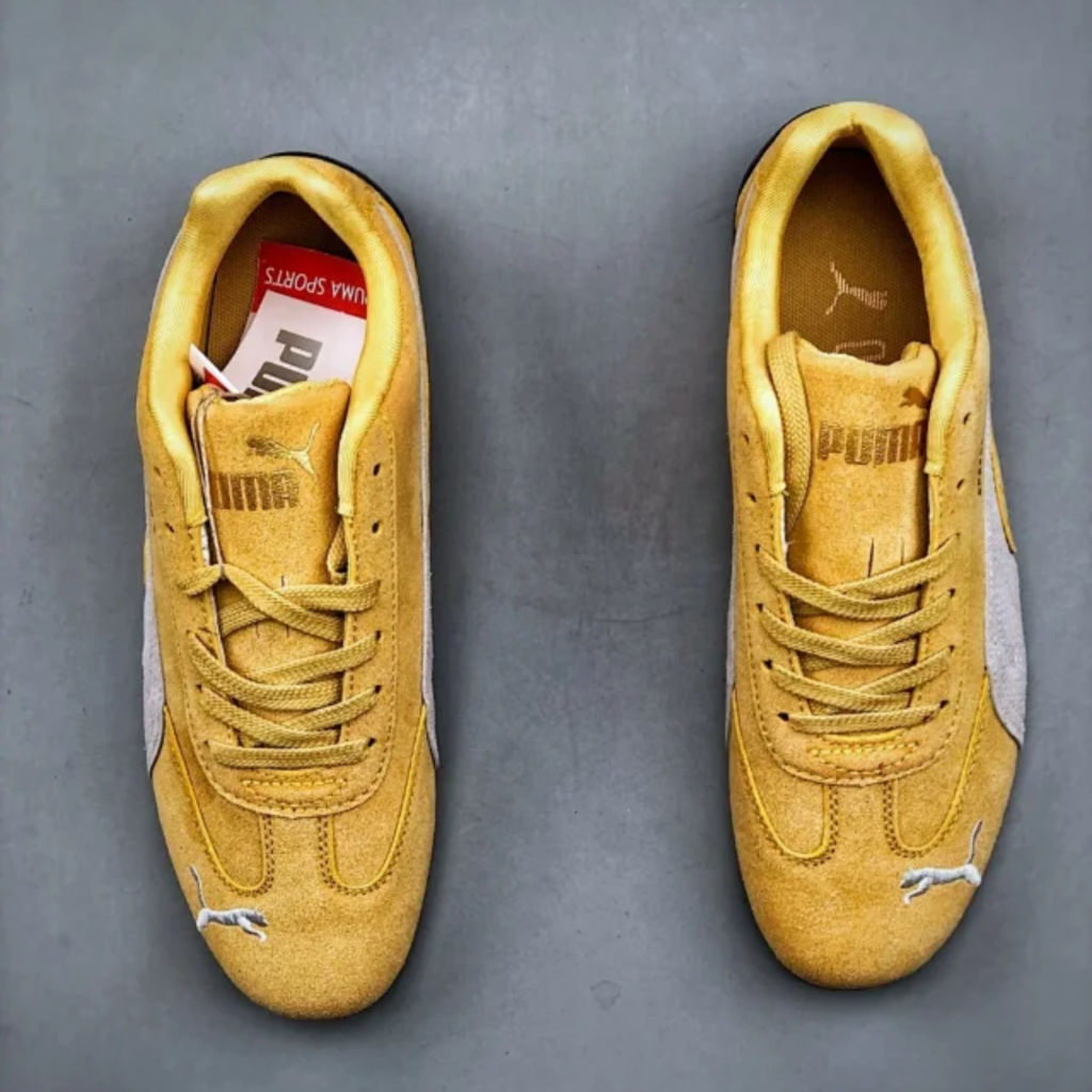 Speeedcat gold archive gold white