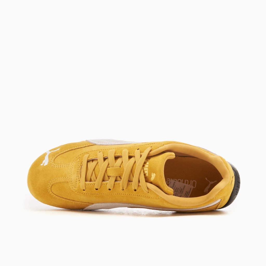 Speeedcat gold archive gold white